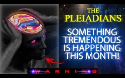 𝐓𝐡𝐞 𝐏𝐥𝐞𝐢𝐚𝐝𝐢𝐚𝐧 𝐆𝐚𝐥𝐚𝐜𝐭𝐢𝐜 𝐅𝐚𝐦𝐢𝐥𝐲 – 𝐓𝐡𝐞 𝐏𝐫𝐞𝐩𝐚𝐫𝐢𝐧𝐠 𝐅𝐨𝐫 𝐀 𝐍𝐞𝐰 𝐑𝐞𝐚𝐥𝐢𝐭𝐲