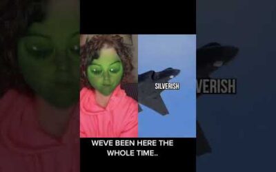 UFO Shot Down Are ALIENS With a Message! #shorts #ShootingDownUFOs #UFOsShot #aliens