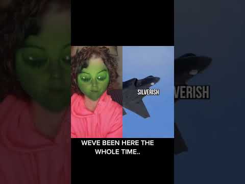 hqdefault.jpg UFO Shot Down Are ALIENS With a Message! #shorts #ShootingDownUFOs #UFOsShot #aliens