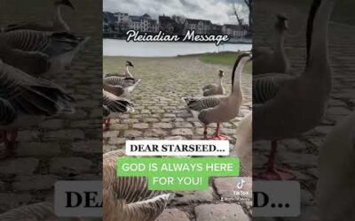 QUICK PLEIADIAN MESSAGE: God Is Always Here For You💜