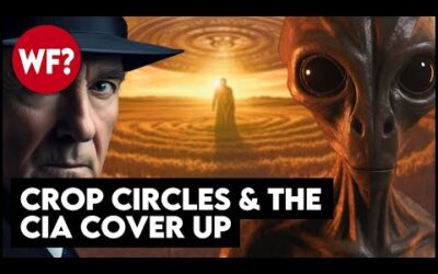Aliens & Espionage: Crop Circles and the CIA Coverup | They Don't Want You to Know