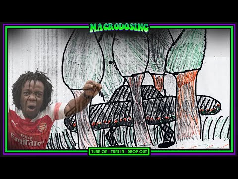 hqdefault.jpg ALIENS IN ZIMBABWE | Zah Talks His Close Encounter With Aliens At The Ariel School