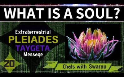 Soul – Extraterrestrial Pleiadian Message (Swaruu from Erra, Taygeta)