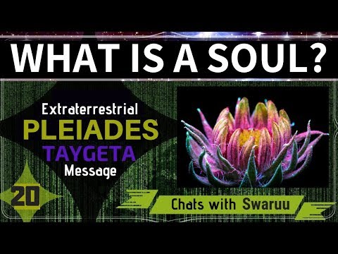 hqdefault.jpg Soul – Extraterrestrial Pleiadian Message (Swaruu from Erra, Taygeta)
