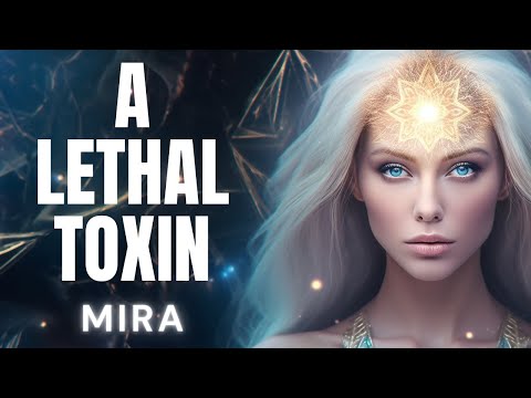 hqdefault.jpg The Pleiadian High Council – BEWARE Of This Starseeds