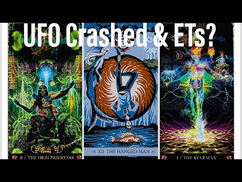 UFO Crashed & ETs In Las Vegas Families Backyard? 🛸👽