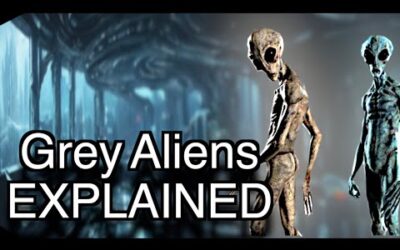 GREY ALIENS SEEN THROUGHOUT HISTORY! A DEEP DIVE into the past #history #viral #subscribe #universe
