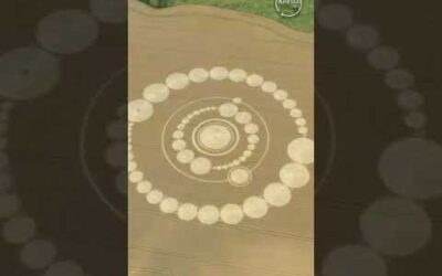Crop Circle ΰ€Έΰ₯ Aliens ΰ€ΰ₯ΰ€ Message ΰ€ΰ₯ΰ€ ΰ€°ΰ€Ήΰ₯ ? / Β #cropcircles
