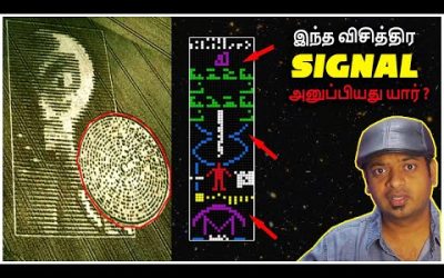 Did Aliens Reply to Our Signal ? Decoding Alien Signal Mystery | Mr.GK