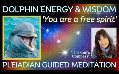 🐬PLEIADIAN GUIDED MEDITATION 'You are a free spirit' ✨CHANNELING DOLPHIN WISDOM #thepleiadians