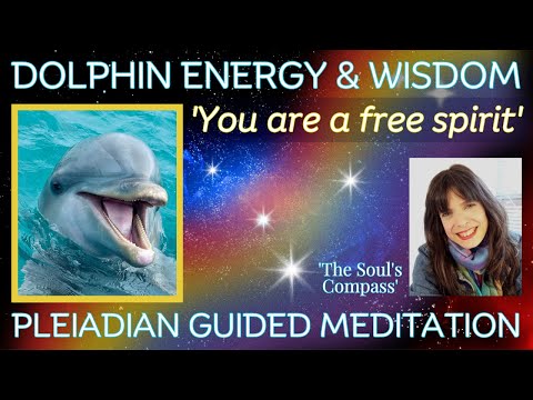 🐬PLEIADIAN GUIDED MEDITATION 'You are a free spirit' ✨CHANNELING DOLPHIN WISDOM #thepleiadians