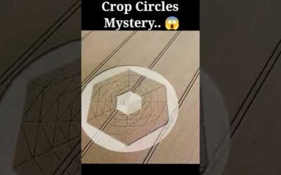 Ancient Aliens | Mystery of Crop Circles 😨 #science #facts #education #viral