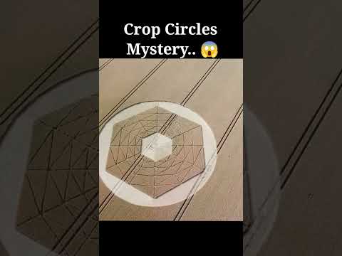hqdefault.jpg Ancient Aliens | Mystery of Crop Circles 😨 #science #facts #education #viral