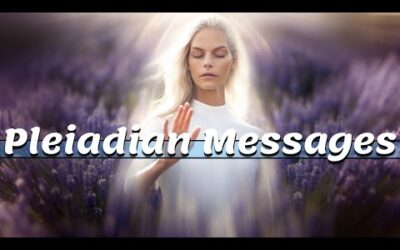 A Special Pleiadian Message – 11/11 – Todd Bryson