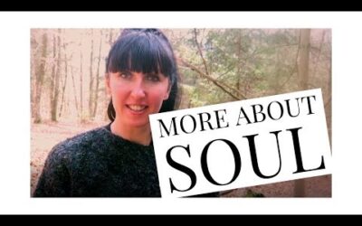 Soul – My Comments – Main Points from Swaruu´s Message (Pleiadian Contact)
