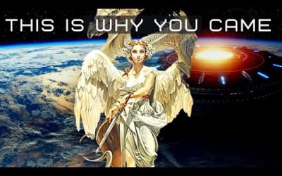 Pleiadian Message: You came from the Future / The Greys