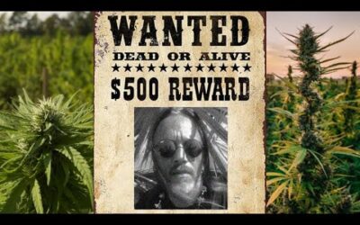 Outlaw Life: 45 years on the Edge pt. 5: Initiation, Aliens, and Escape to California