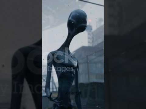 the golden record : a message for aliens @space@astrology@crazyxyz
