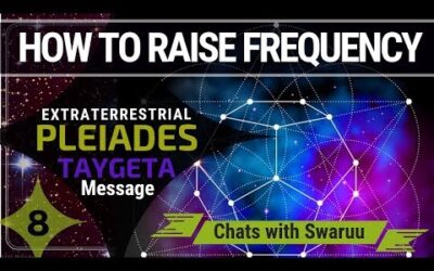 How to Raise Your Frequency: Direct Message from the Pleiadian Contact