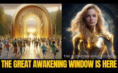 Don't Walk, RUN! | The 5th Dimension | The Pleiadian High Council 2024