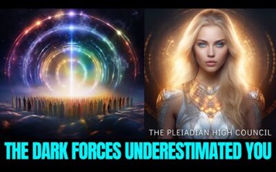 "A GREAT EVENT IS ABOUT TO HAPPEN…" – The Pleiadian High Council 2024