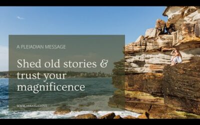Pleiadian message about self trust.
