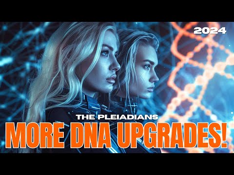 hqdefault.jpg ***FAMILY OF LIGHT: AN URGENT MESSAGE & NEW ACTIVATION***- The Pleiadians 2024