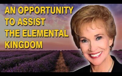 VLOG 238 – AN OPPORTUNITY TO ASSIST THE ELEMENTAL KINGDOM