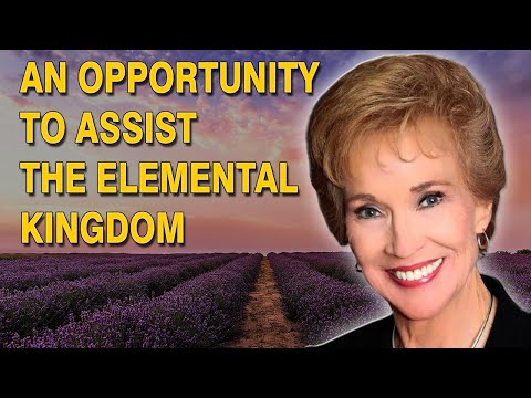 VLOG 238 – AN OPPORTUNITY TO ASSIST THE ELEMENTAL KINGDOM