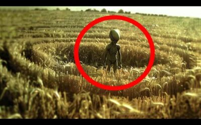 Crop Circles Decoded: Top 5 Messages Aliens Are Sending Us (The Truth is Scary!)