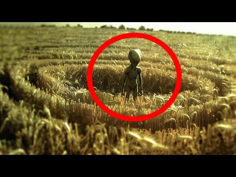 Crop Circles Decoded: Top 5 Messages Aliens Are Sending Us (The Truth is Scary!)