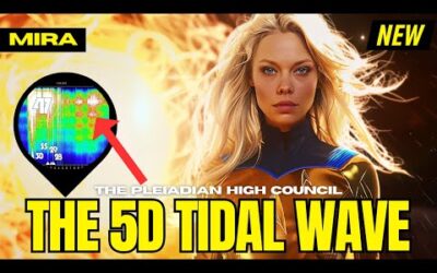 "IT HAS JUST STARTED…" – The Pleiadian High Council