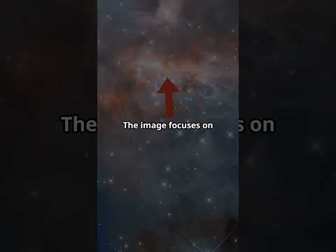 HUBBLE Takes Us Inside RCW 7 ✨ Stellar Nursery Revealed!