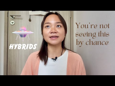 Hybrids 👽🛸  | Channeled Message from the Pleiadian High Council