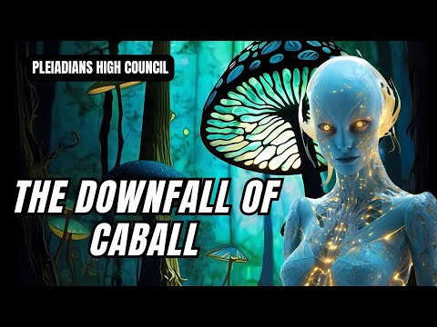 hqdefault.jpg IN THE DAYS AHEAD… – Insights from the Pleiadian High Council