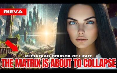 "2025 IS GOING TO LOOK VERY DIFFERENT (Quantum Age)…" – The Pleiadian Council Of Light | RIEVA