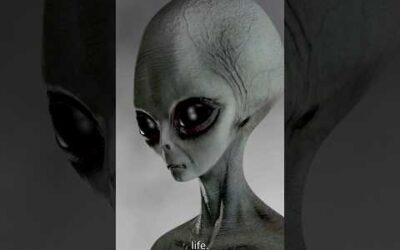 The Wow Signal: Evidence of Alien Life?