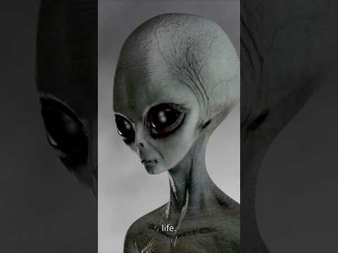 The Wow Signal: Evidence of Alien Life?