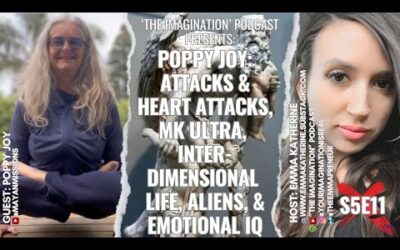 S5E11 | Poppy Joy – Attacks & Heart Attacks, MK ULTRA, Interdimensional-Life, Aliens, & Emotional IQ