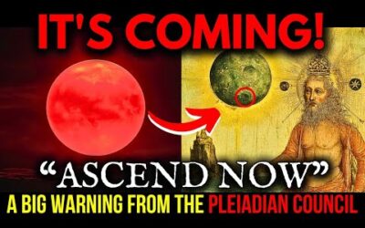 Ascension Souls: The Pleiadian High Council's Message, This Is The LAST STEP!