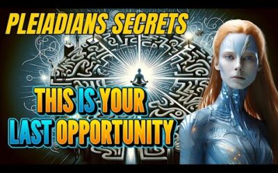 Ascension Souls: Act Now! Final Opportunity! October 21st, 2024 (The Next 48 Hours Are Critical!)