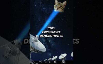Meow in Space: NASA's Feline Message to Aliens