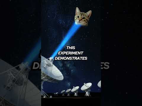 Meow in Space: NASA's Feline Message to Aliens