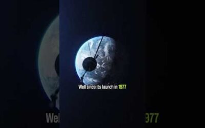 We sent a message to ALIENS #universe #shorts