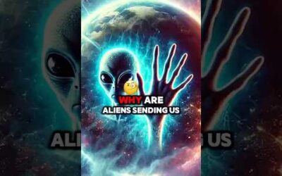 Aliens is alieeeens  us. #alien #aliens #fact #wowsignal #shortsvideo #amaizingfacts