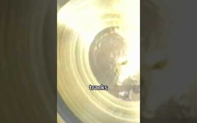 The Golden Record