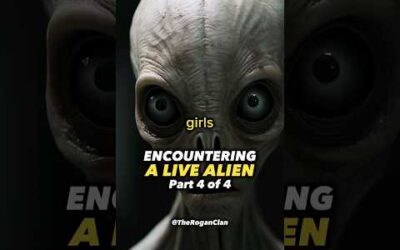 Encountering a Live Alien! (Part 4) #joerogan #storytime #alien #ufo