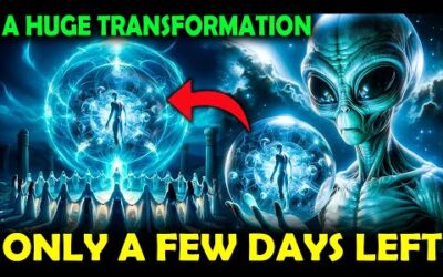Pleiadian Final Message: Before 2025 comes. This is the last chance in 2024. Everything will change