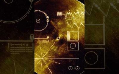 Here's what Voyager spacecraft's Golden Record has for aliens. #alien #nasa #space #astronomy