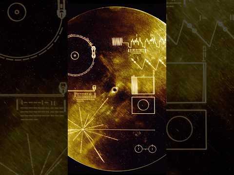 Here's what Voyager spacecraft's Golden Record has for aliens. #alien #nasa #space #astronomy